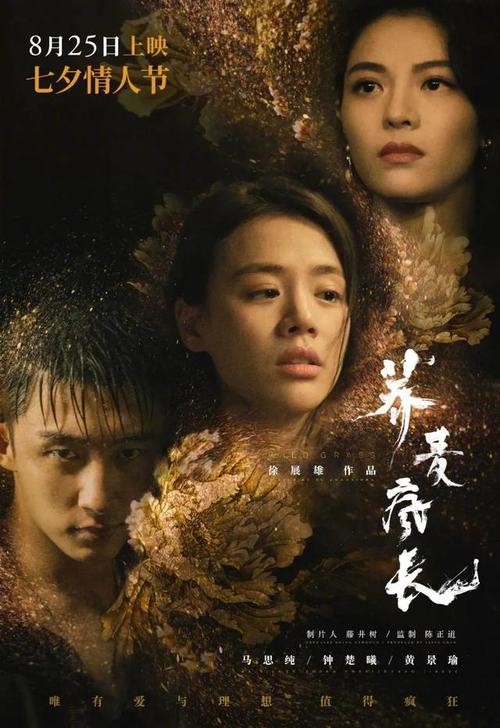 做个波兰身份证假